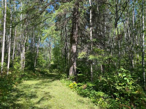 TBD Buck Dr., Bovey, MN 55709