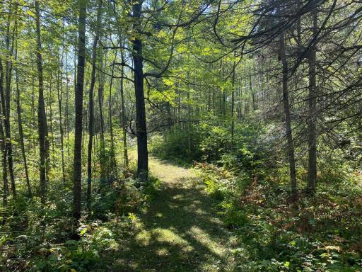 TBD Buck Dr., Bovey, MN 55709
