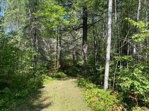 TBD Buck Dr., Bovey, MN 55709