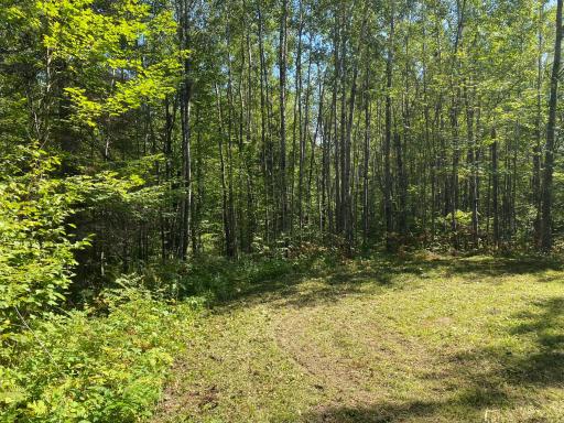 TBD Buck Dr., Bovey, MN 55709