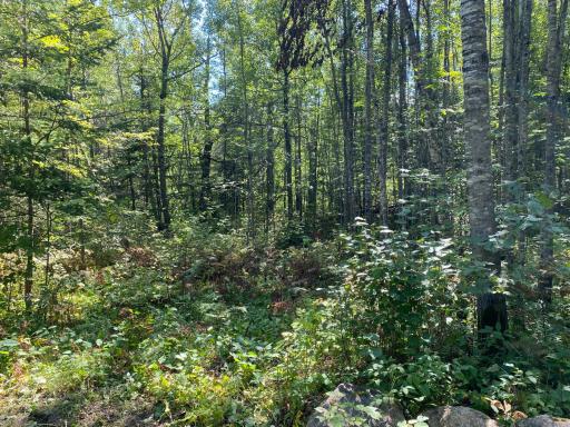 TBD Buck Dr., Bovey, MN 55709