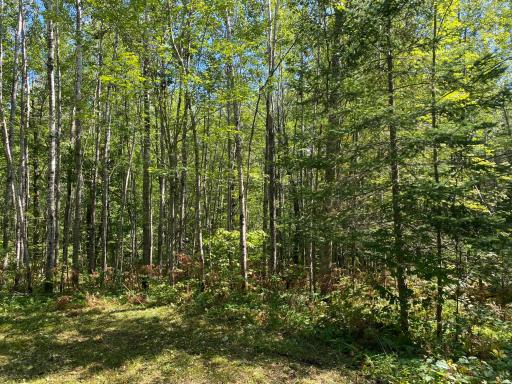 TBD Buck Dr., Bovey, MN 55709