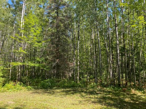 TBD Buck Dr., Bovey, MN 55709
