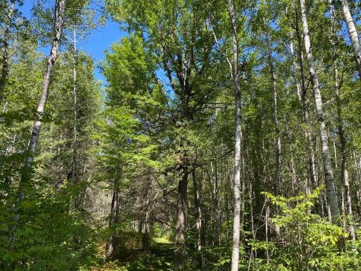 TBD Buck Dr., Bovey, MN 55709