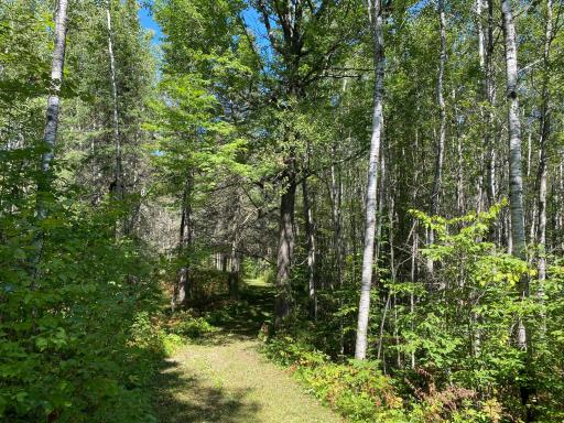 TBD Buck Dr., Bovey, MN 55709