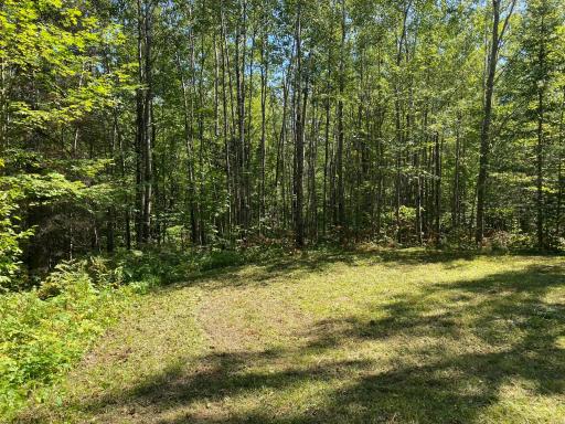 TBD Buck Dr., Bovey, MN 55709