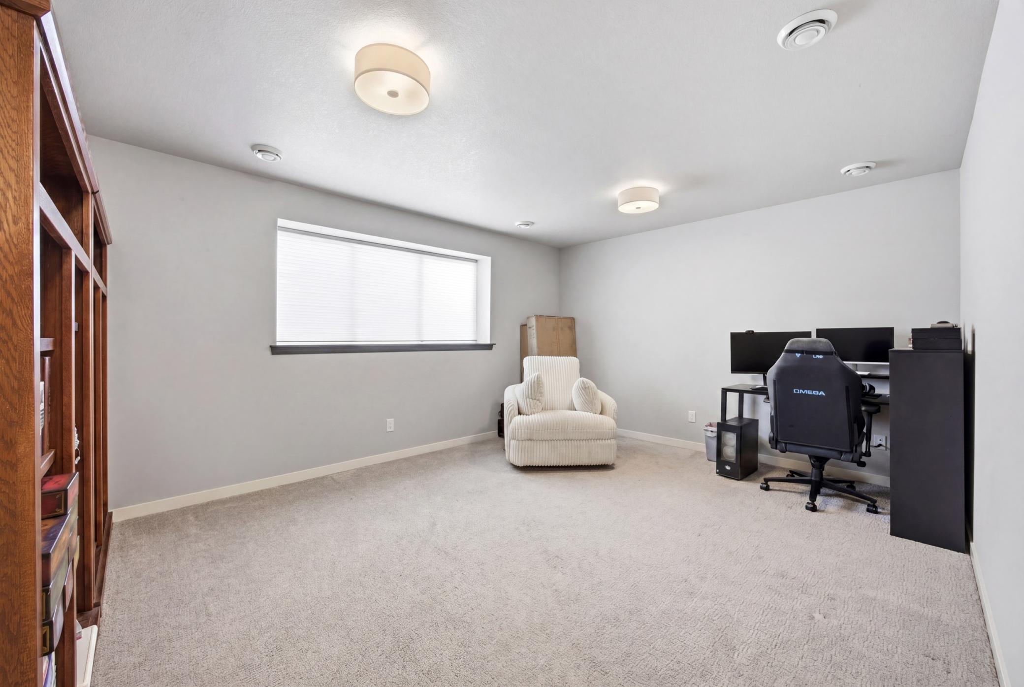 Lower family room