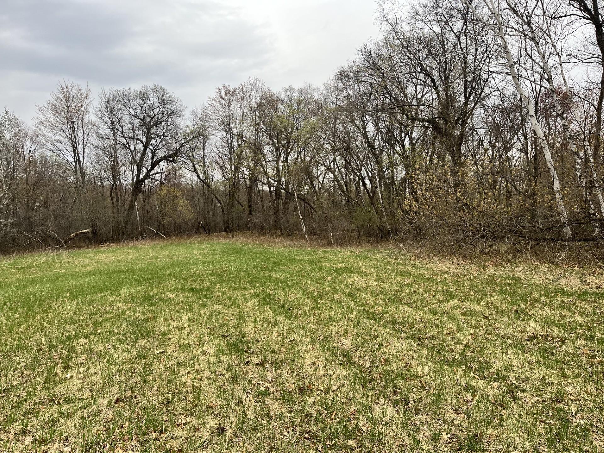 Looking from the east side of the parcel looking south east.