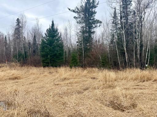 TBD Hwy 65, Nashwauk, MN 55769
