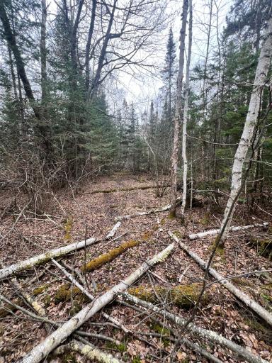 TBD Hwy 65, Nashwauk, MN 55769