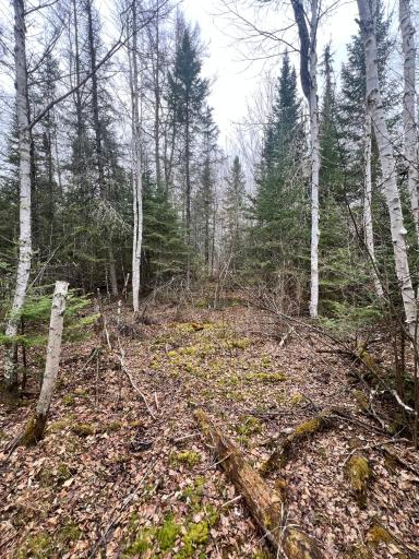 TBD Hwy 65, Nashwauk, MN 55769