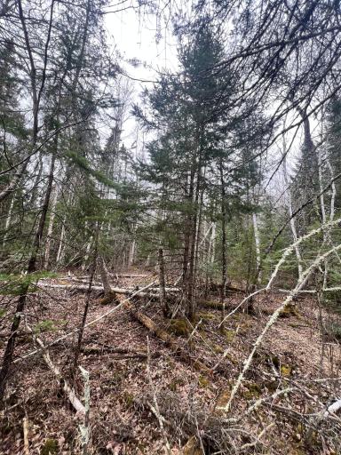 TBD Hwy 65, Nashwauk, MN 55769