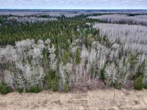 TBD Hwy 65, Nashwauk, MN 55769
