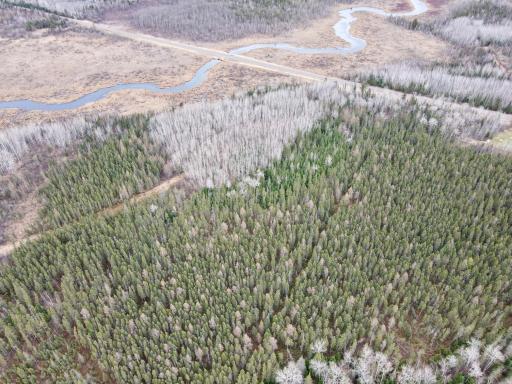 TBD Hwy 65, Nashwauk, MN 55769