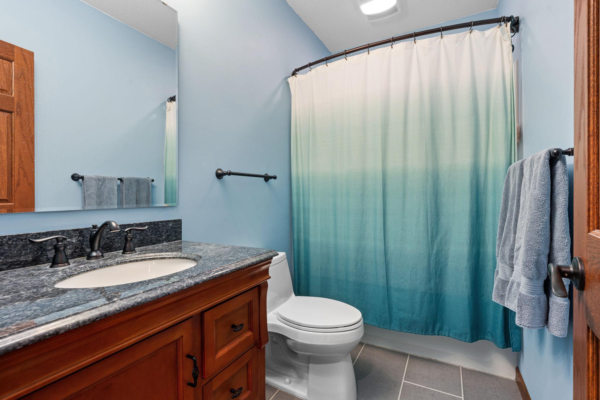 Lower level bathroom