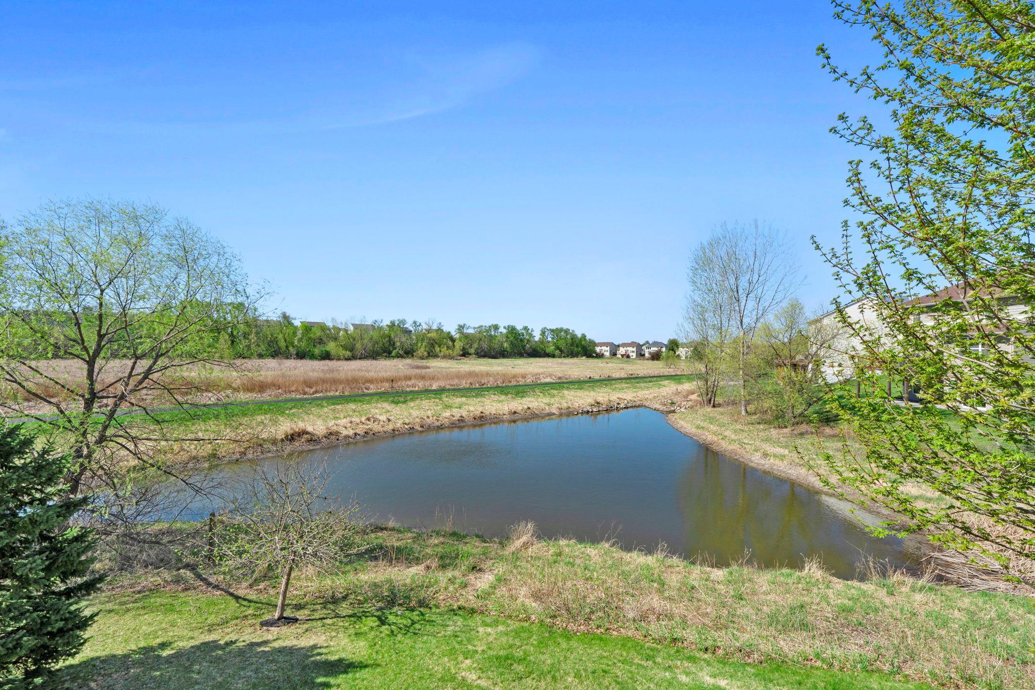 Your own pond in the backyard