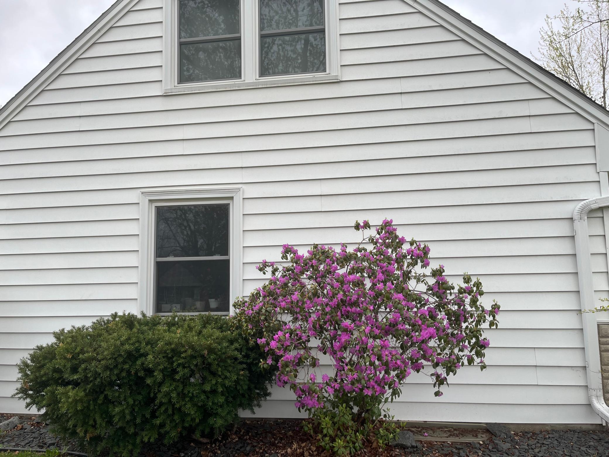 Spring flowering bushes, and landscaping add a touch of color to your curb-appeal!