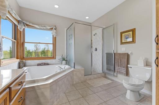 Large spa-like jetted tub and walk-in shower