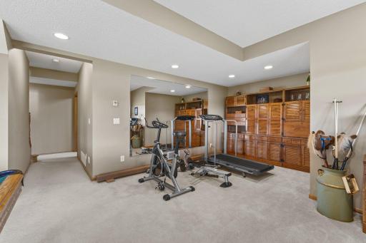 744 Theis Drive, Shakopee, MN 55379