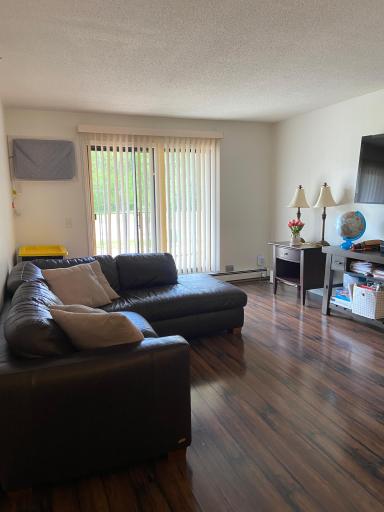 Spacious living room with entry to balcony