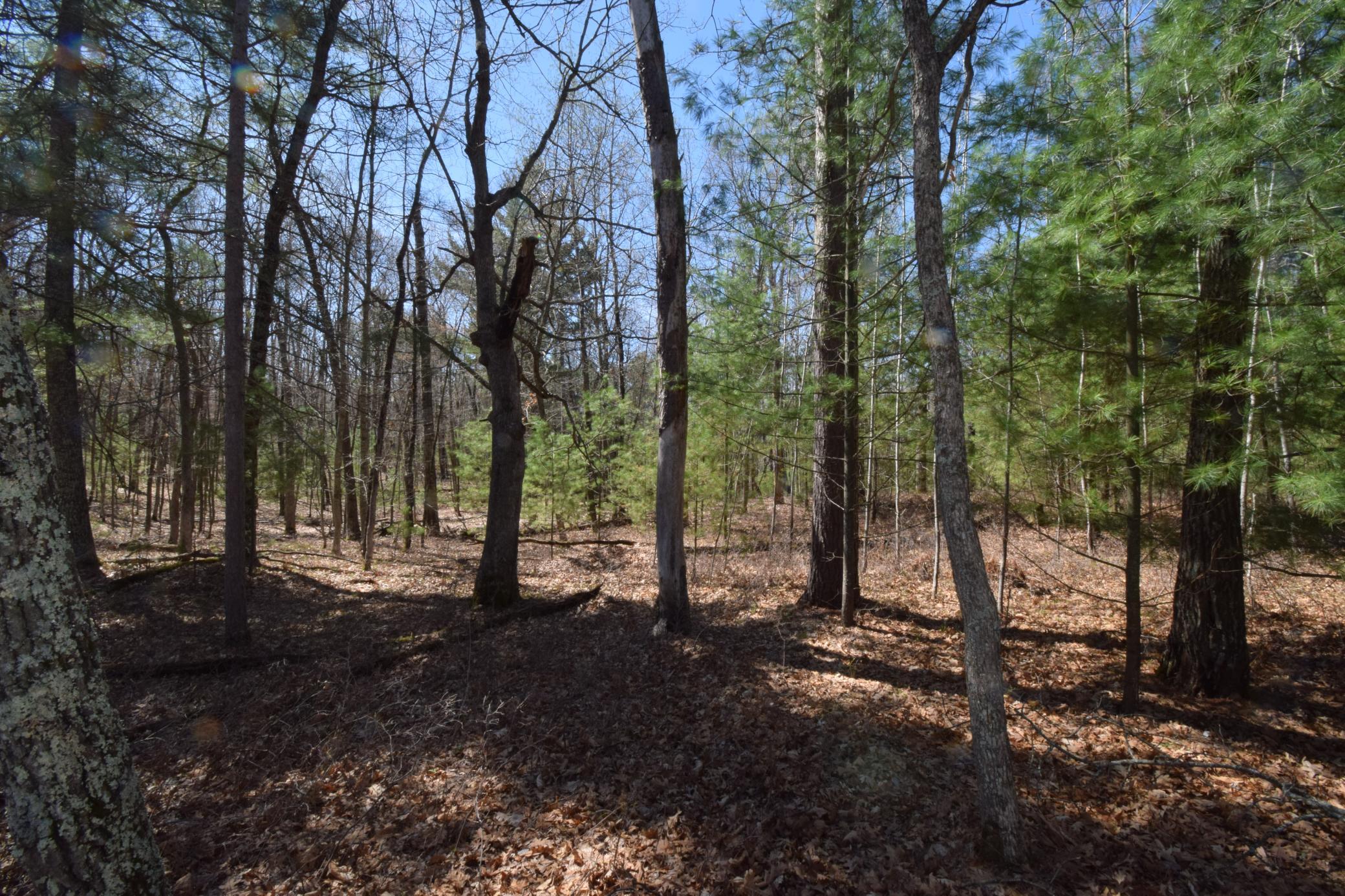 DSC_0219.JPG