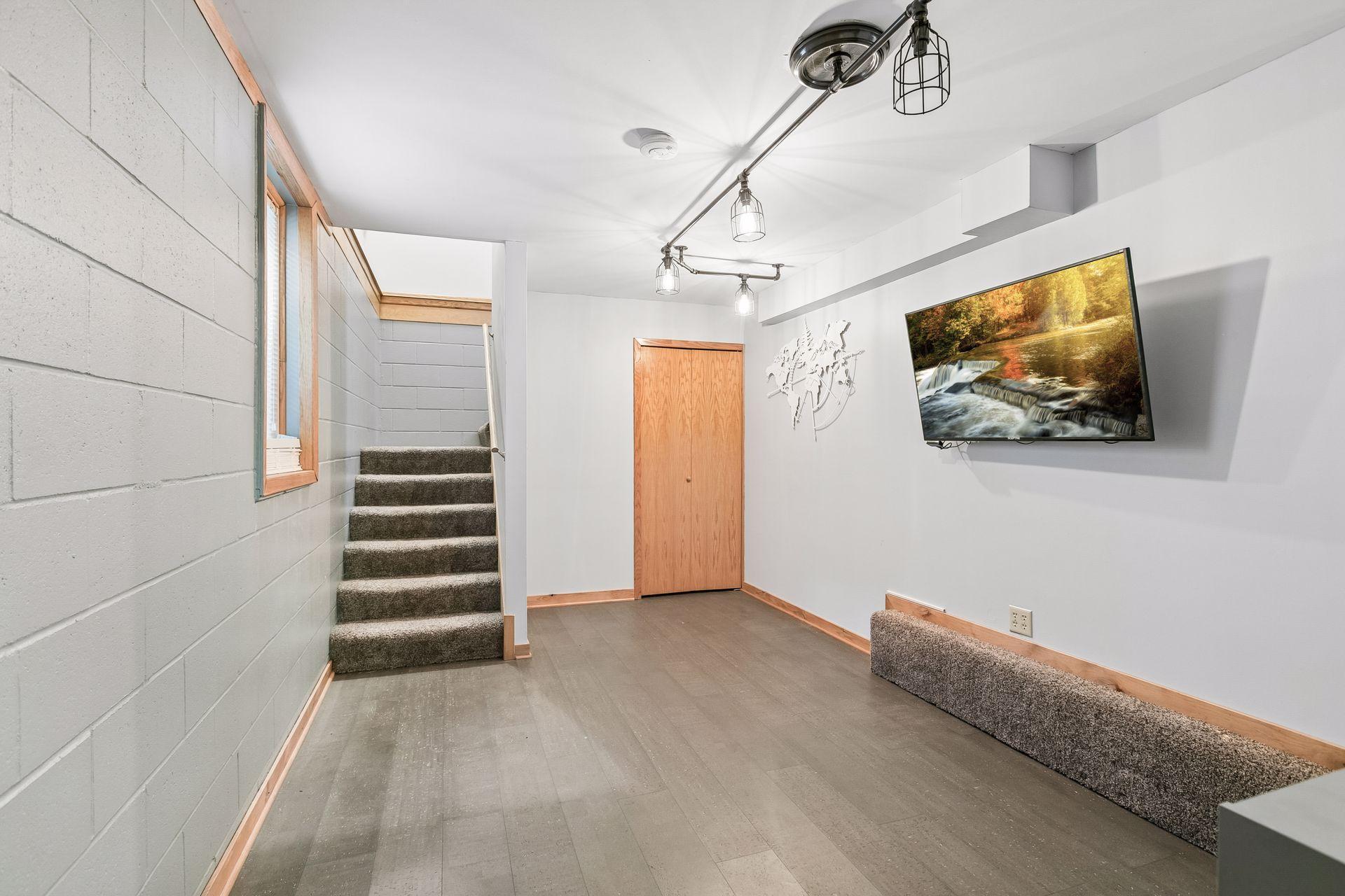 Lower level family room