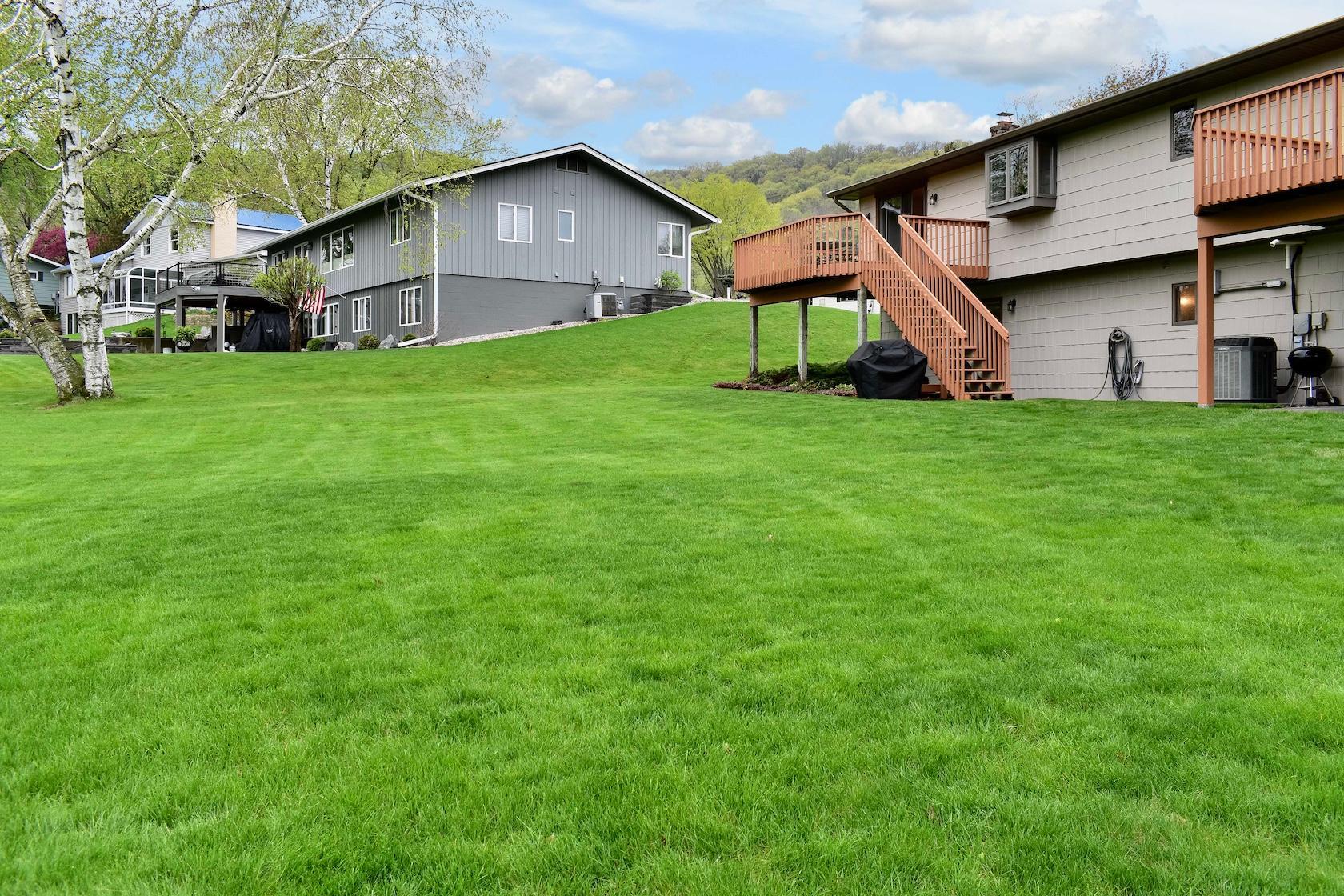 35 Back Yard.jpg