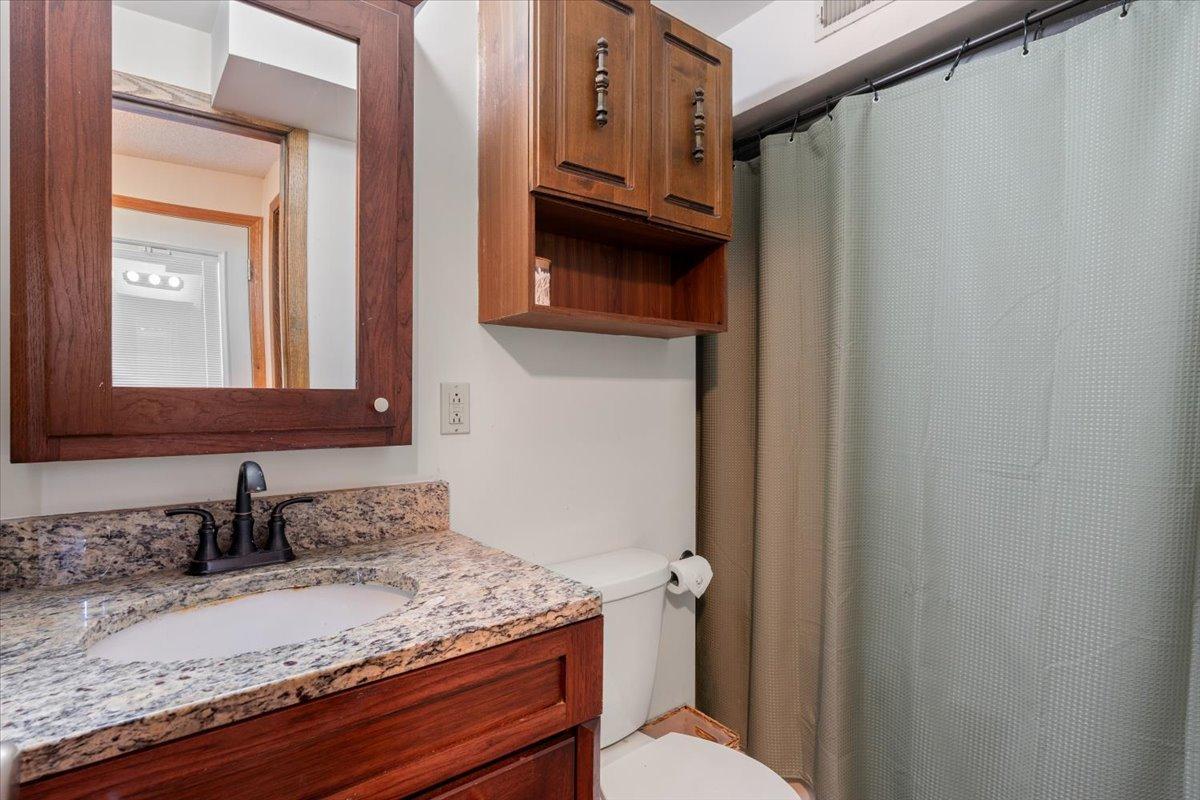 Lower level bathroom