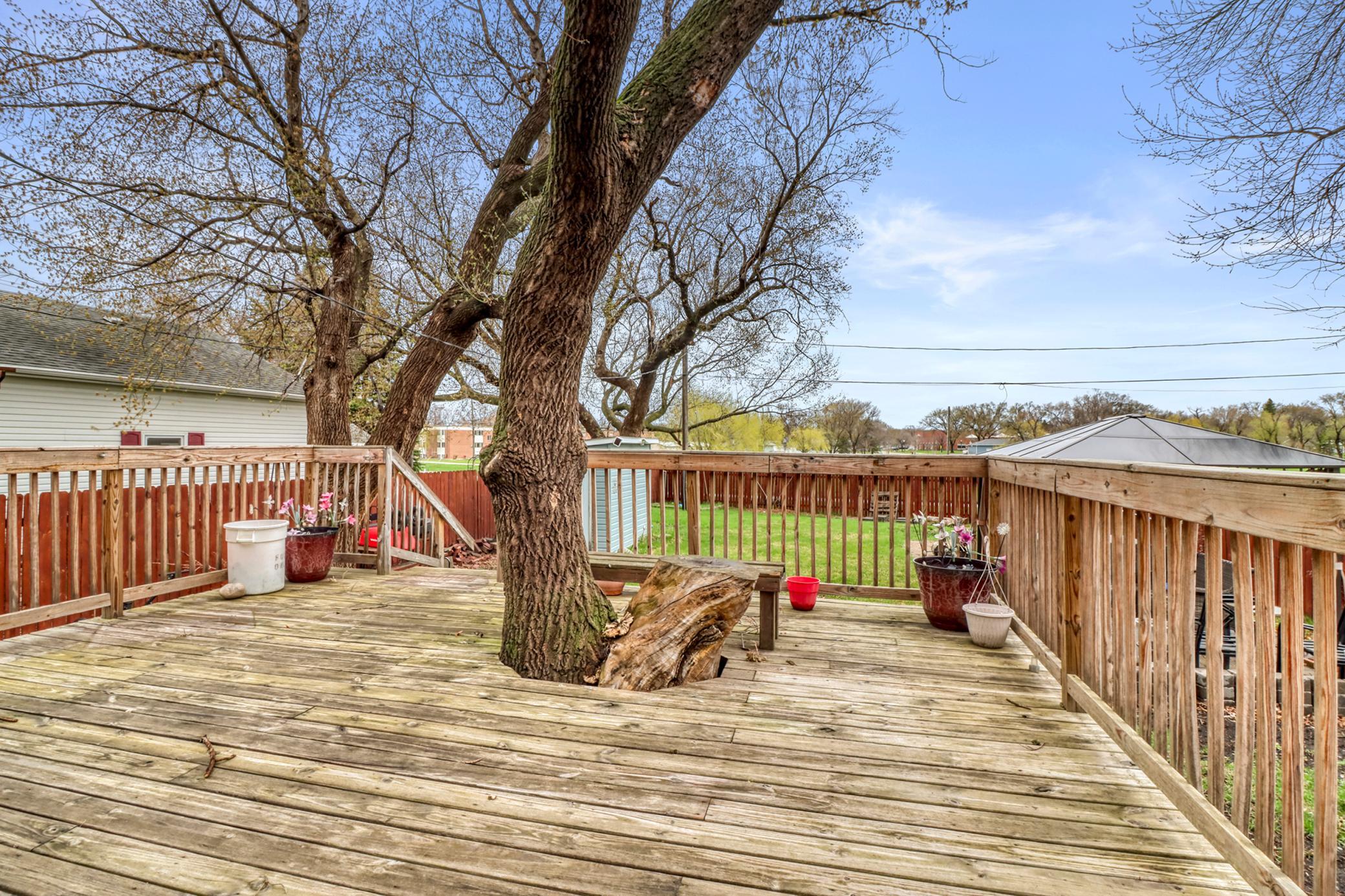 Backyard_Deck1_3.JPG