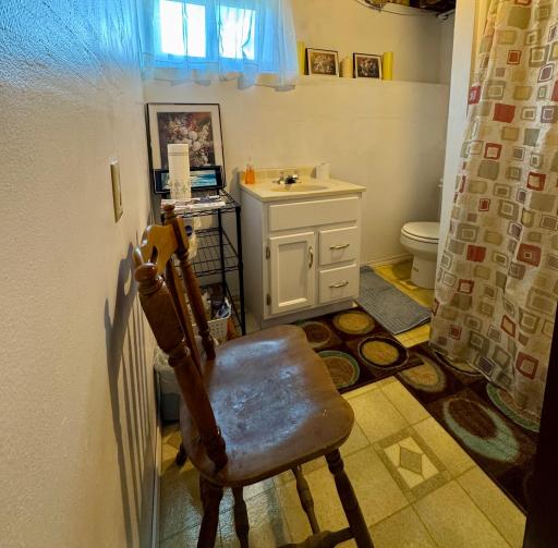 Lower Level 3/4 Bathroom