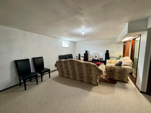 Lower Level Family Room