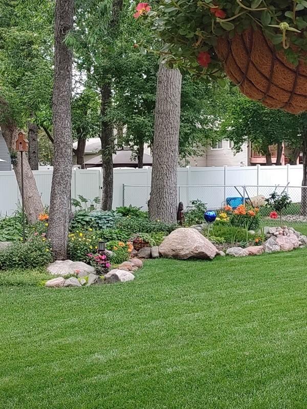 Beautiful Lawn