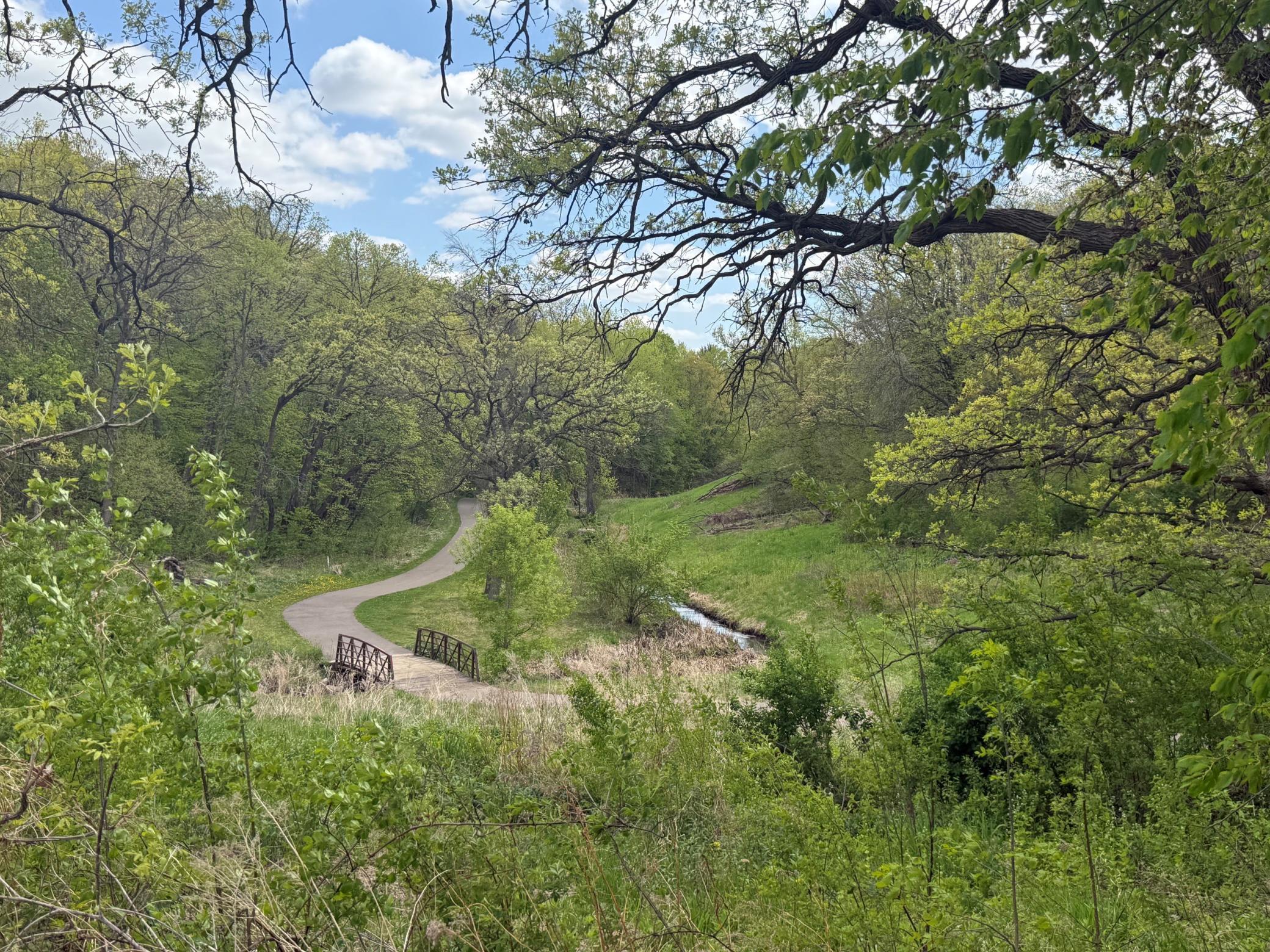 Battle Creek Trail.jpg