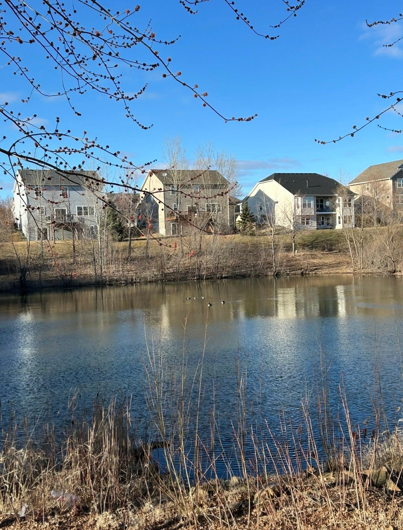 The beautiful creek offers scenic views and is often filled with wildlife.