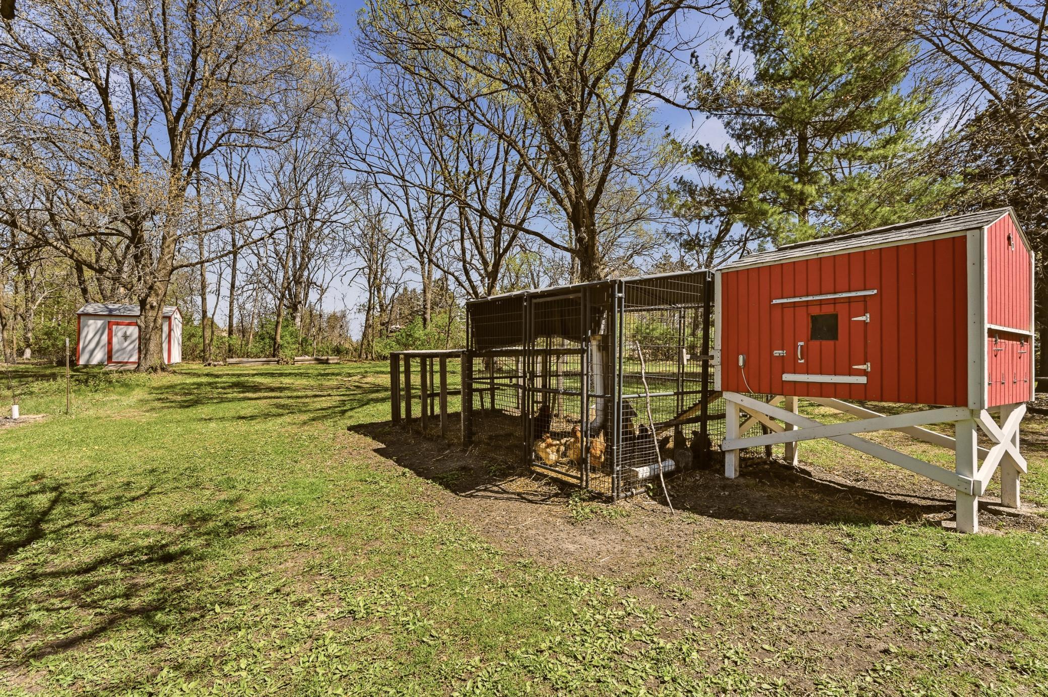 Chicken Coop