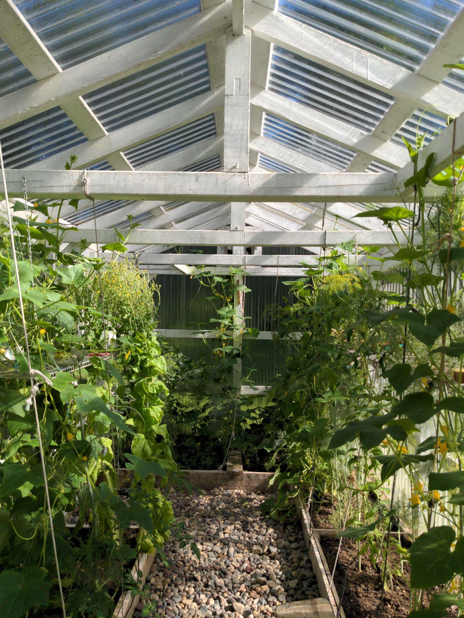 Greenhouse Interior
