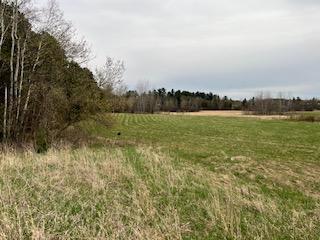 View from the east property line on 253rd Avenue NE looking south