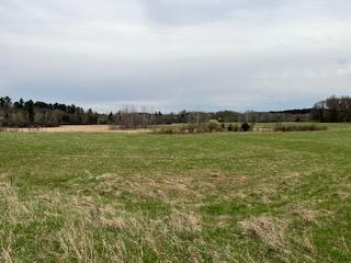 View from 253rd Ave NE looking south east.