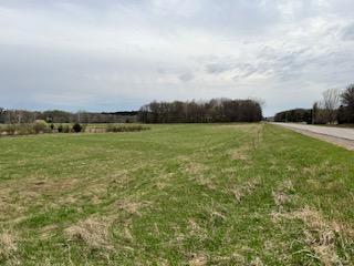 East property line looking west along 253rd Avenue NE,