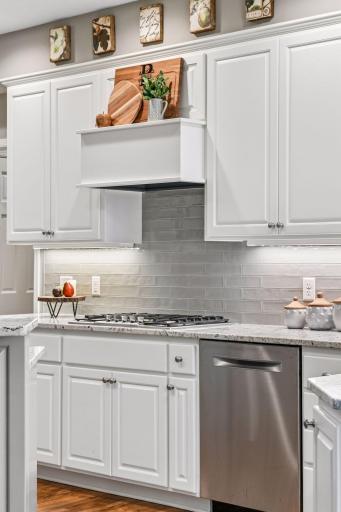 2865 Autumn Woods Drive, Chaska, MN 55318