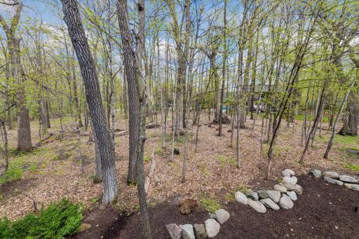 2865 Autumn Woods Drive, Chaska, MN 55318