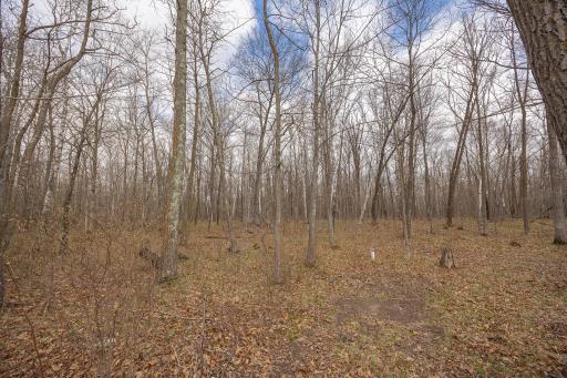 2251 Fahrenholz Road NE, Longville, MN 56655