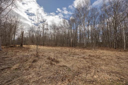 2251 Fahrenholz Road NE, Longville, MN 56655