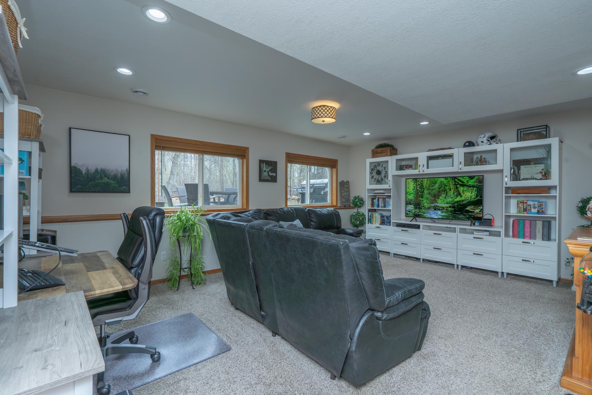 Lower level living room