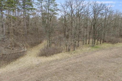 TBD 32nd Avenue SW, Backus, MN 56435