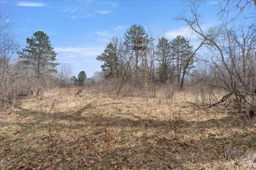 TBD 32nd Avenue SW, Backus, MN 56435