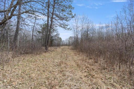TBD 32nd Avenue SW, Backus, MN 56435