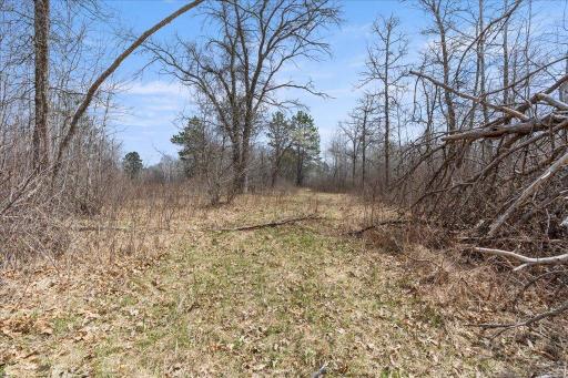 TBD 32nd Avenue SW, Backus, MN 56435