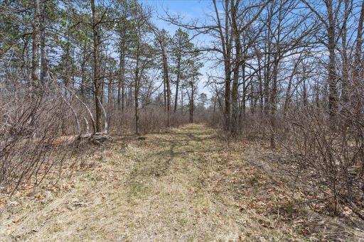 TBD 32nd Avenue SW, Backus, MN 56435