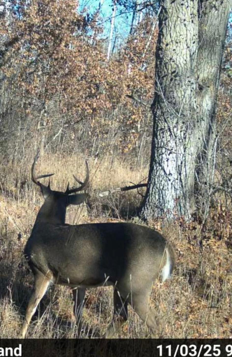 Game Camera Picture